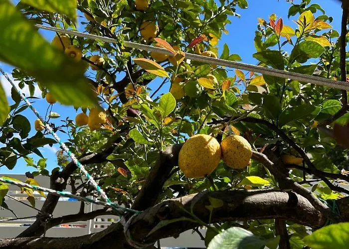 B&B La Ginestra Scafati